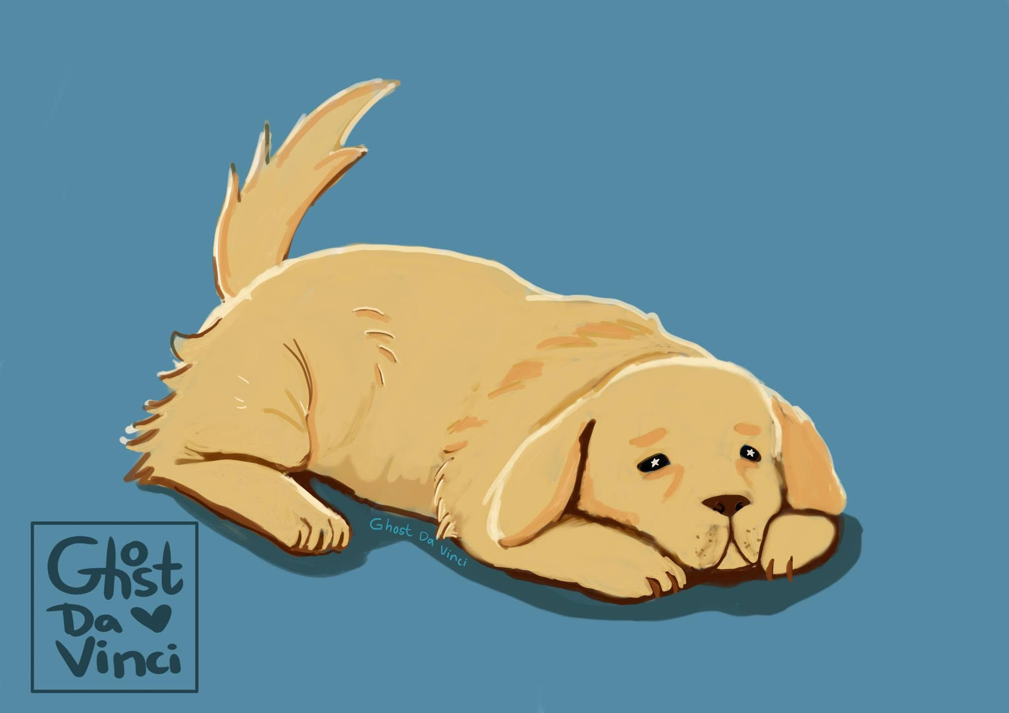 Pet Portrait